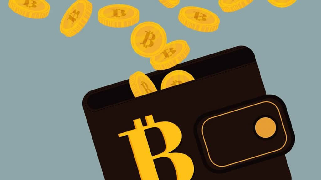 Oppbevar bitcoins i lommeboken