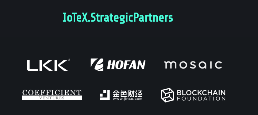 Partnerzy strategiczni IoTex