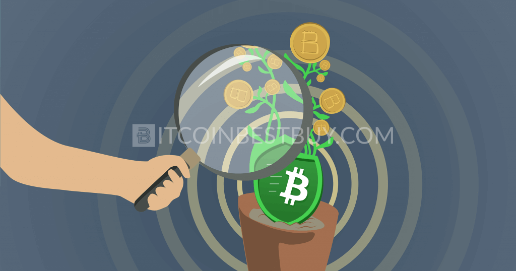 Revisão da GreenAddress Bitcoin Wallet