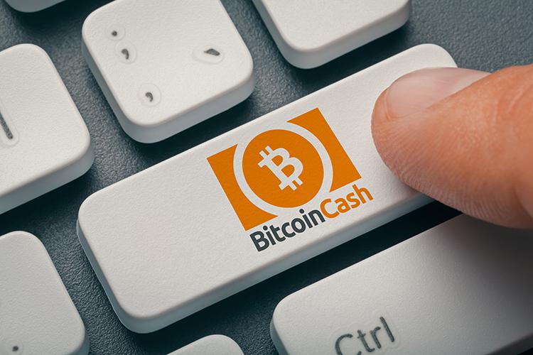 Bitcoin cash (bch) Kryptowaluta